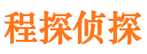 光山市调查公司